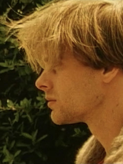 The Bather (1995) poster