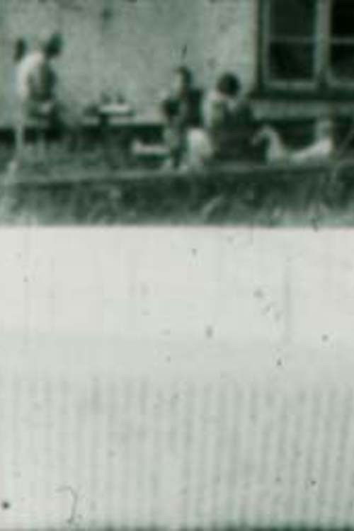 Lost for Words (1974) poster