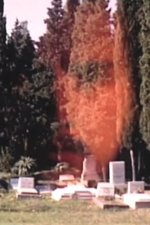 Self-Portrait at the Graveyard (1970) poster