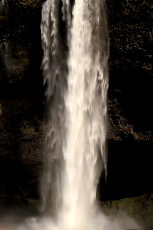 Into Water’s Vibration (2012) poster