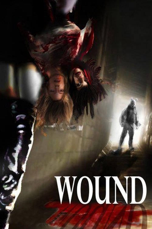 Wound (2010) poster