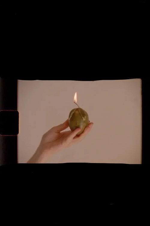 Primera carta a Nazli (2020) poster