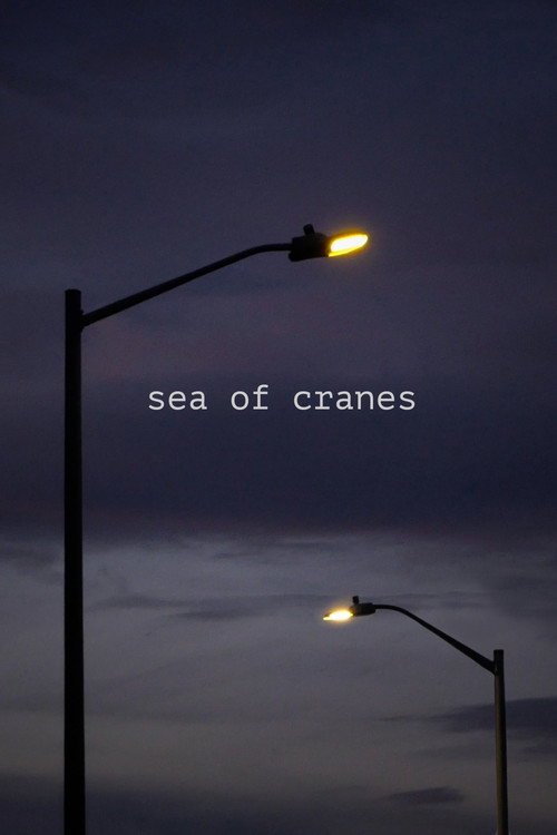 Sea of Cranes (2021) poster