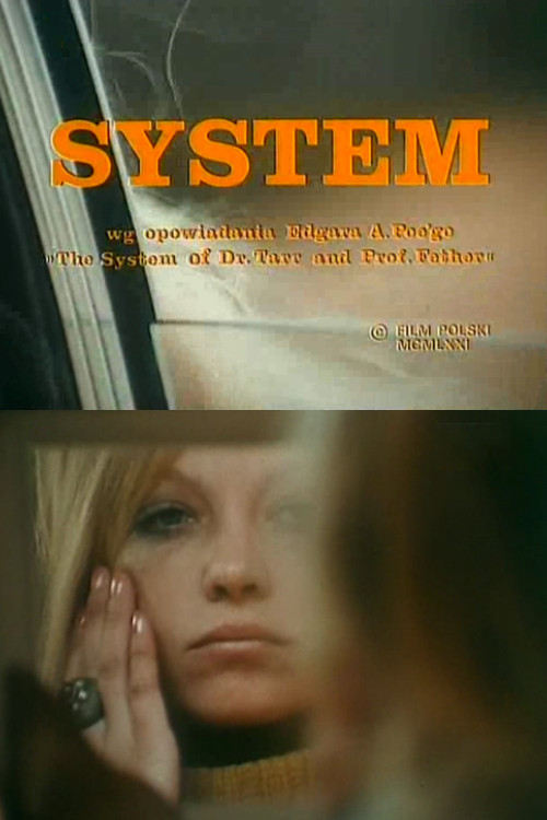 System (1981) poster