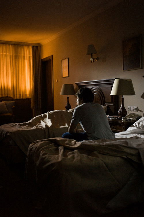 Düldül ve Bülbül (2013) poster