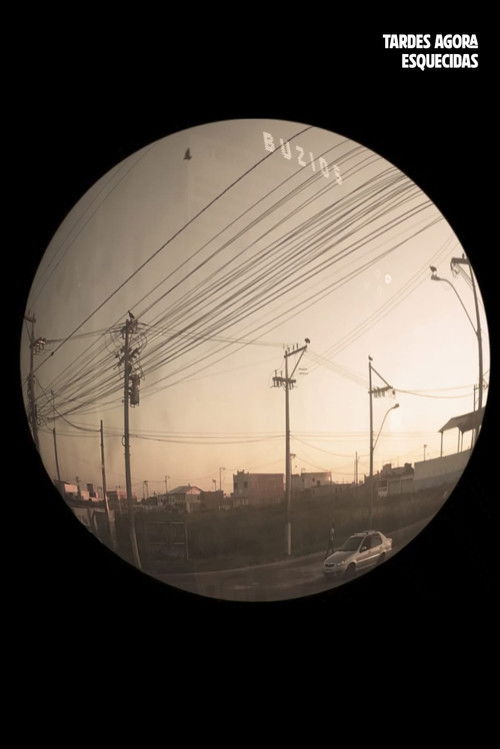 Now Forgotten Afternoons (2024) poster