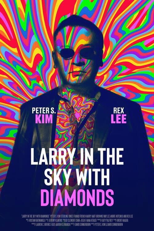 Larry in the Sky with Diamonds (2024) poster