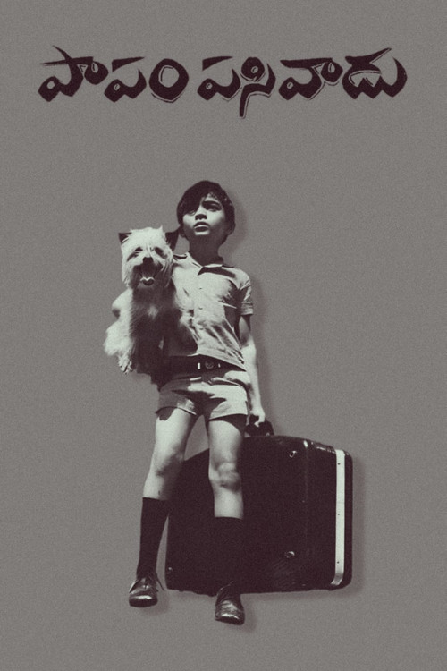 Papam Pasivadu (1972) poster