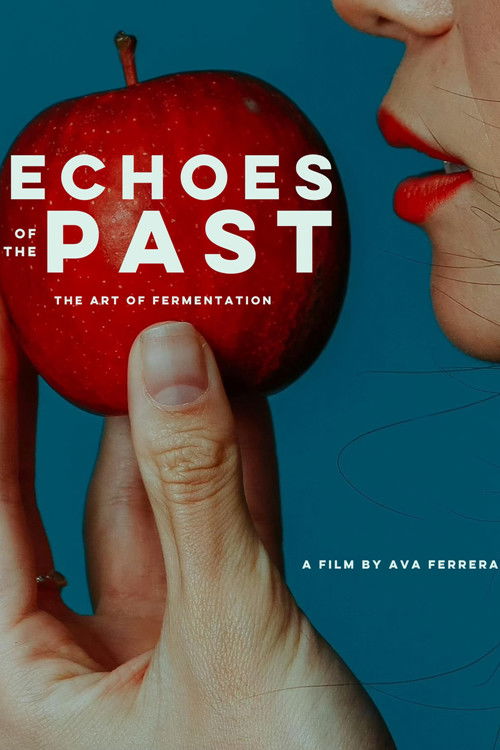 Echoes of the Past (2025) poster