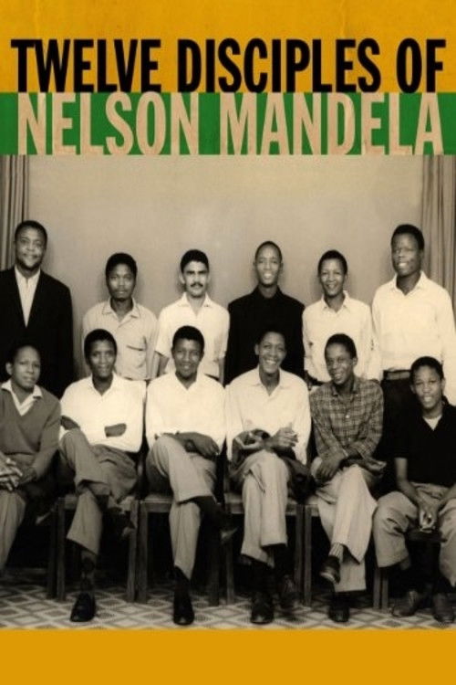 Twelve Disciples of Nelson Mandela (2005) poster