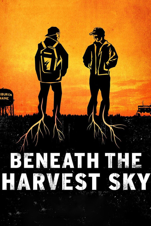 Beneath the Harvest Sky (2013) poster