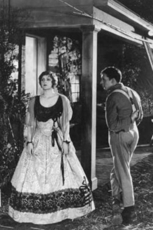 The Fighting Brothers (1919) poster