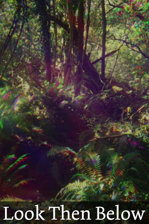 Look Then Below (2019) poster