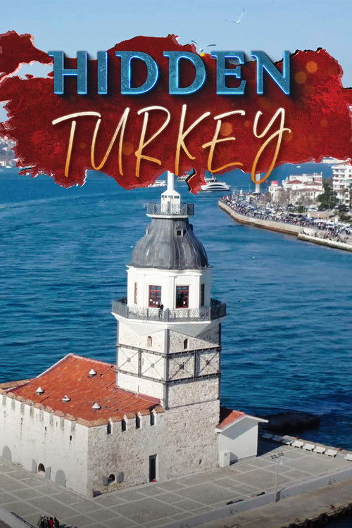Hidden Turkey (2021) poster