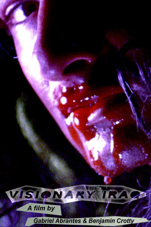 Visionary Iraq (2009) poster