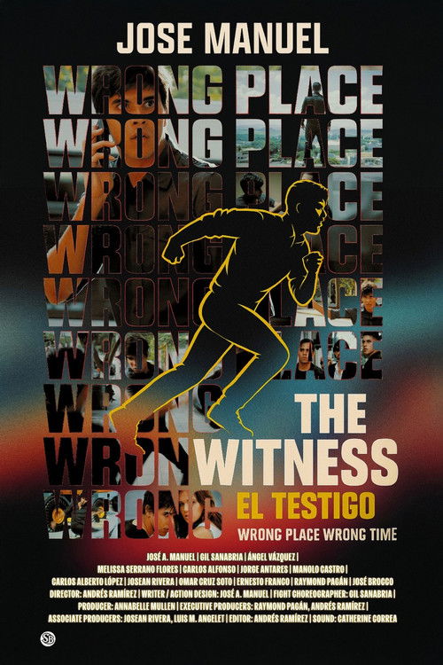 The Witness (2011) poster