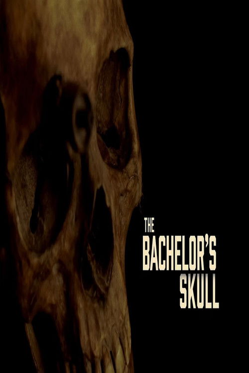 The Bachelor's Skull (2016) poster