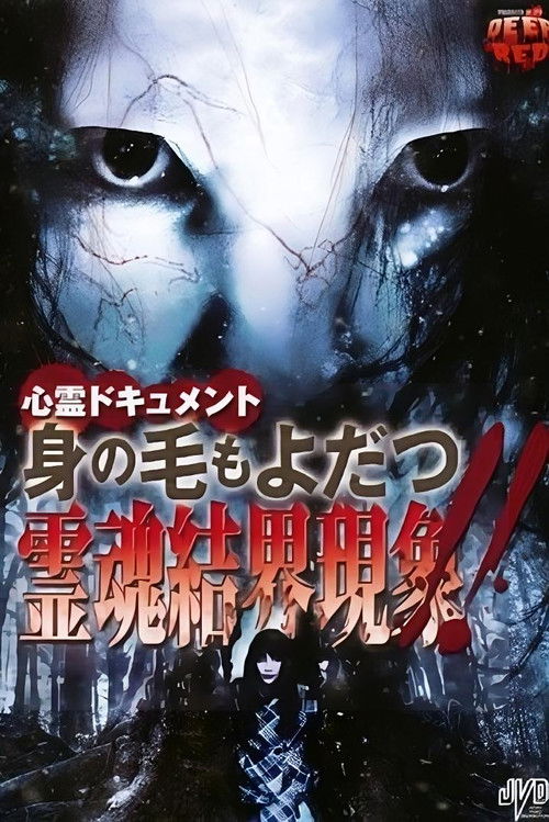 Psychic Documentary: Hair-Raising - Spirit Soul Boundary Phenomenon!! (2009) poster