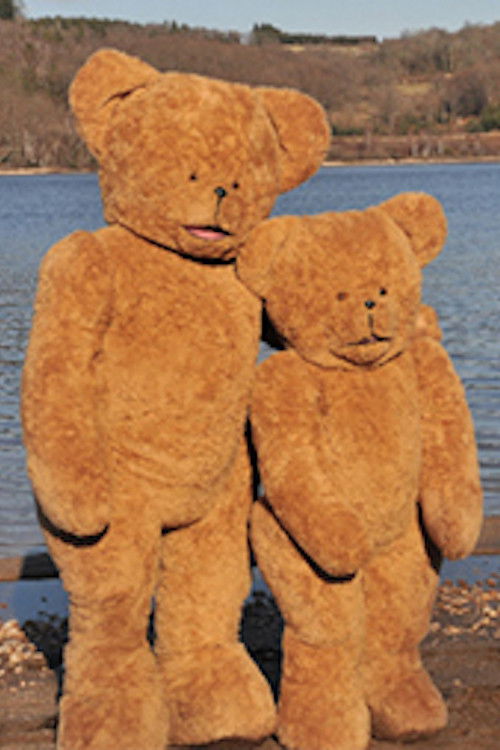 La vie lointaine (2009) poster