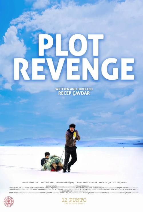 Plot Revenge (2024) poster