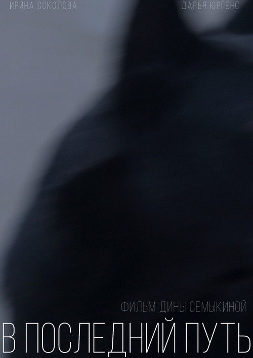 On the Last Journey (2021) poster