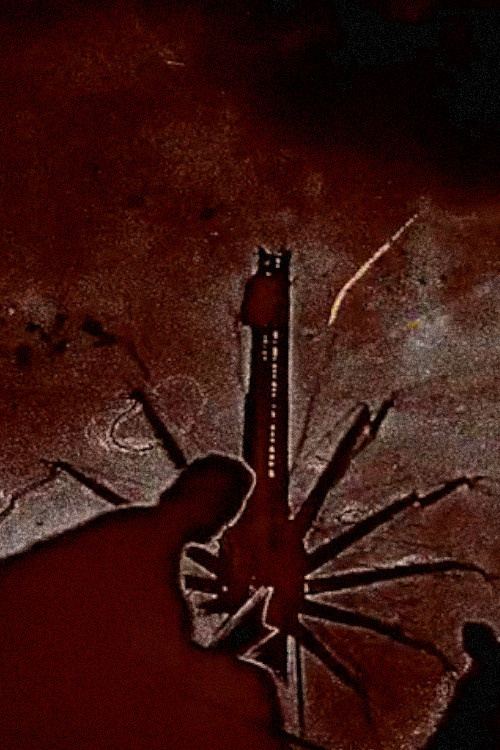 Liquid Movements (2011) poster