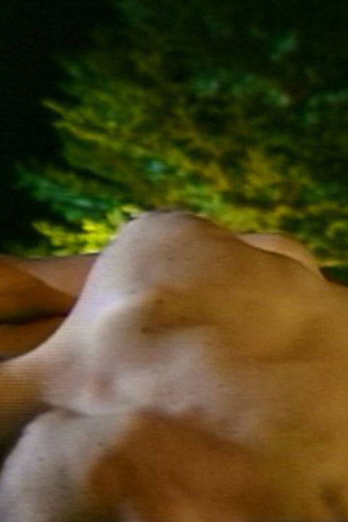 Heads or Tails (1990) poster