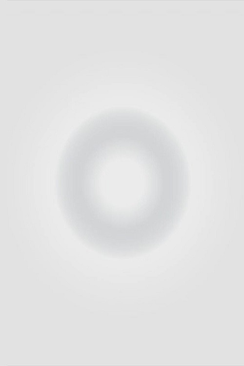 The Taj Mahal (2021) poster