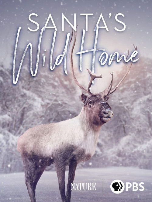 Santa's Wild Home (2020) poster