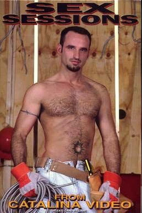 Sex Sessions (2001) poster