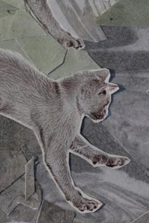 Knot Waking (2023) poster