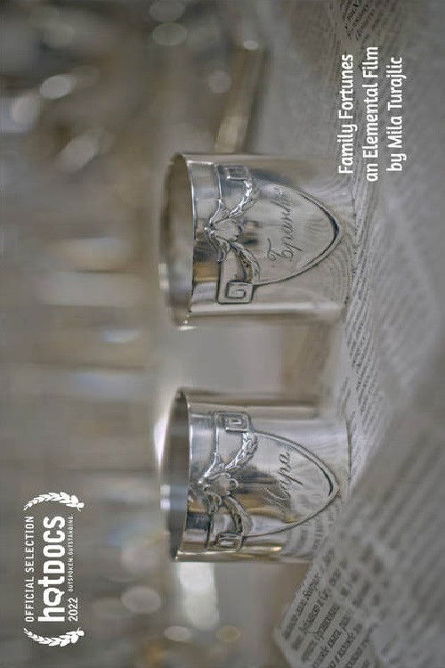 Family Fortunes (2022) poster