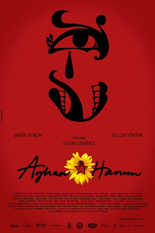 Ayhan Hanım (2014) poster