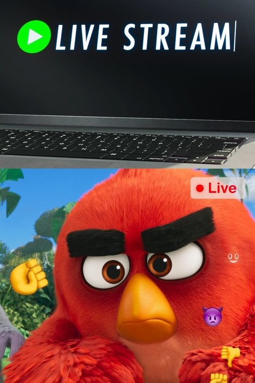 Angry Birds: Live Stream (2019) poster