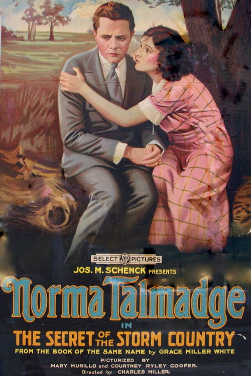 The Secret of the Storm Country (1917) poster