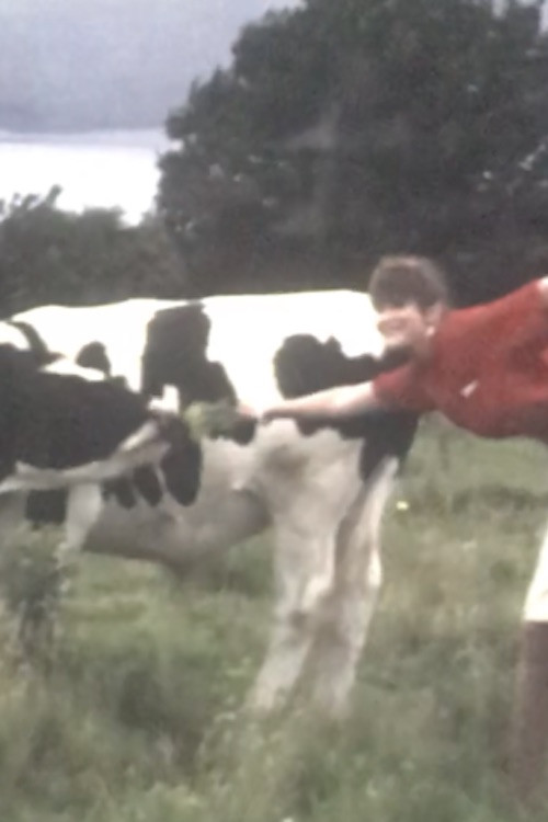 Visibility: Moderate (1981) poster