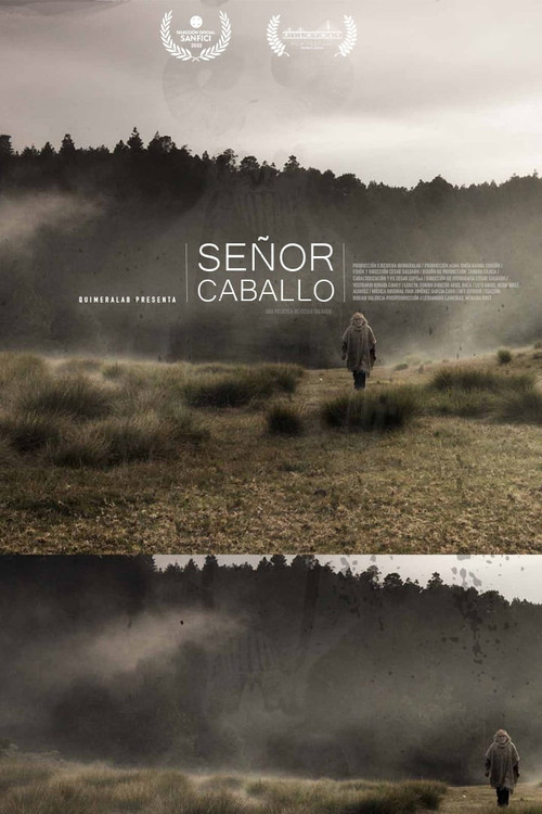 Señor Caballo (2020) poster
