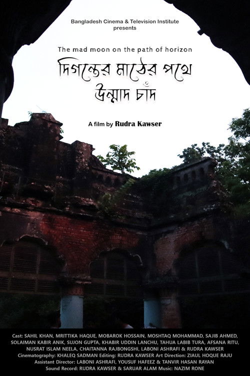 The mad moon on the path of horizon (2019) poster