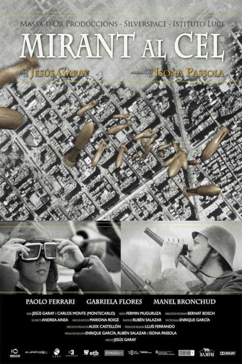 Mirant al cel (2008) poster