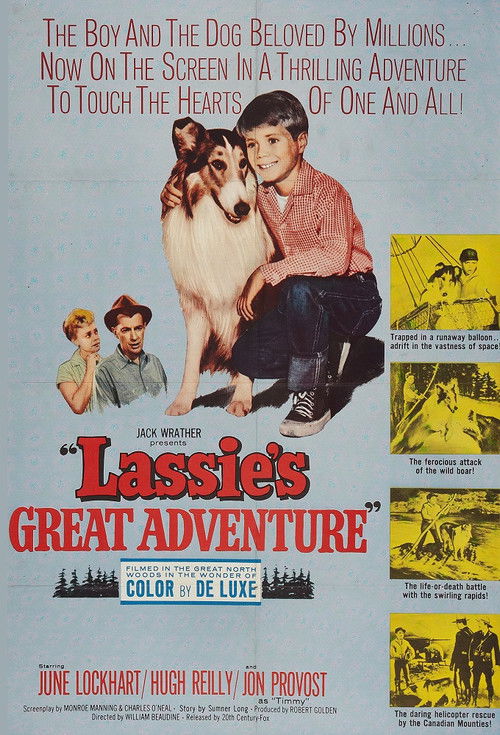 Lassie's Great Adventure (1963) poster