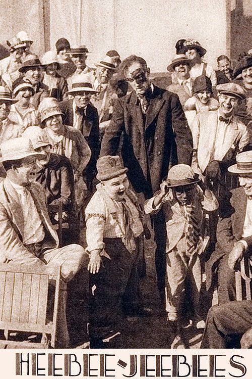 Heebee Jeebees (1927) poster