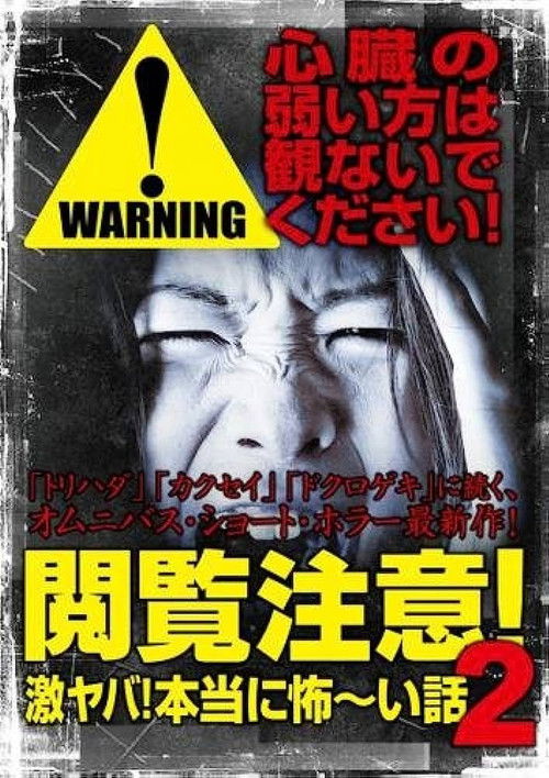 Warning! NSFW Scary Stories 2 (2014) poster