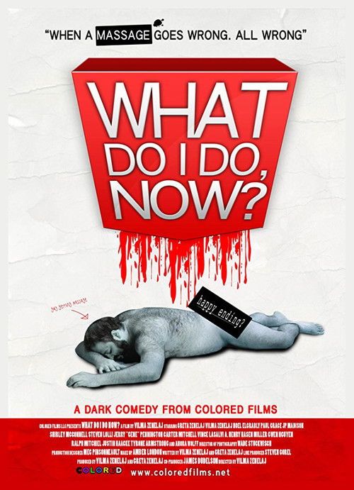 What Do I Do Now? (2009) poster
