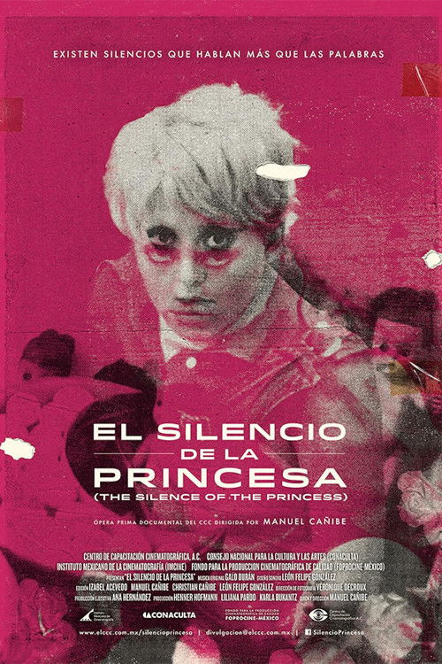 El silencio de la princesa (2014) poster