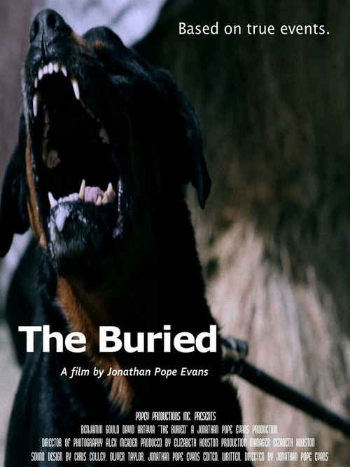 The Buried (2011) poster