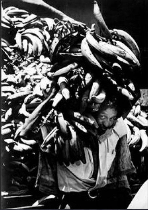 Costa Rica Banana Republic (1979) poster