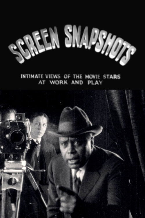 Screen Snapshots (Series 1, No. 7) (1920) poster