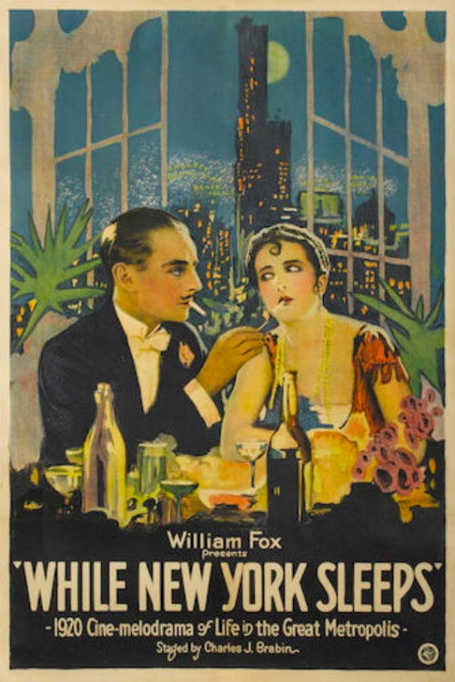 While New York Sleeps (1920) poster