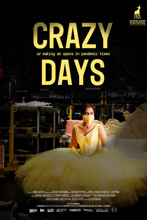 Crazy Days (2021) poster