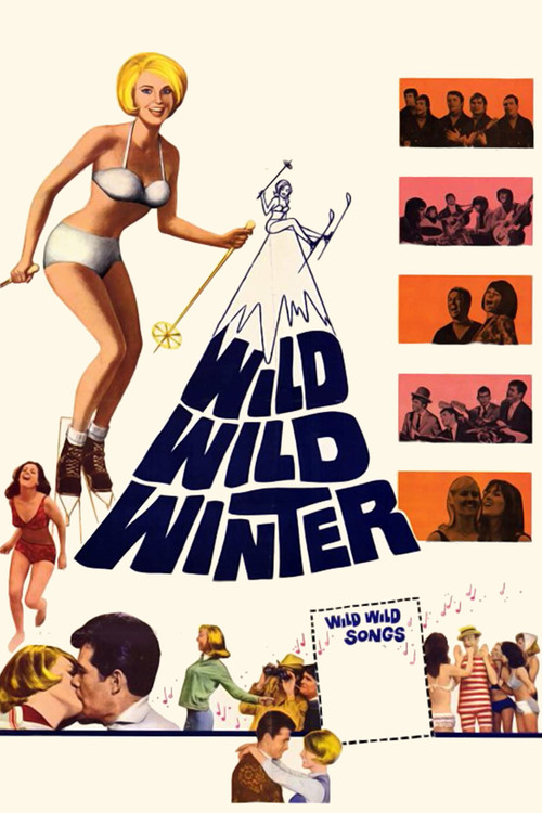 Wild, Wild Winter (1966) poster